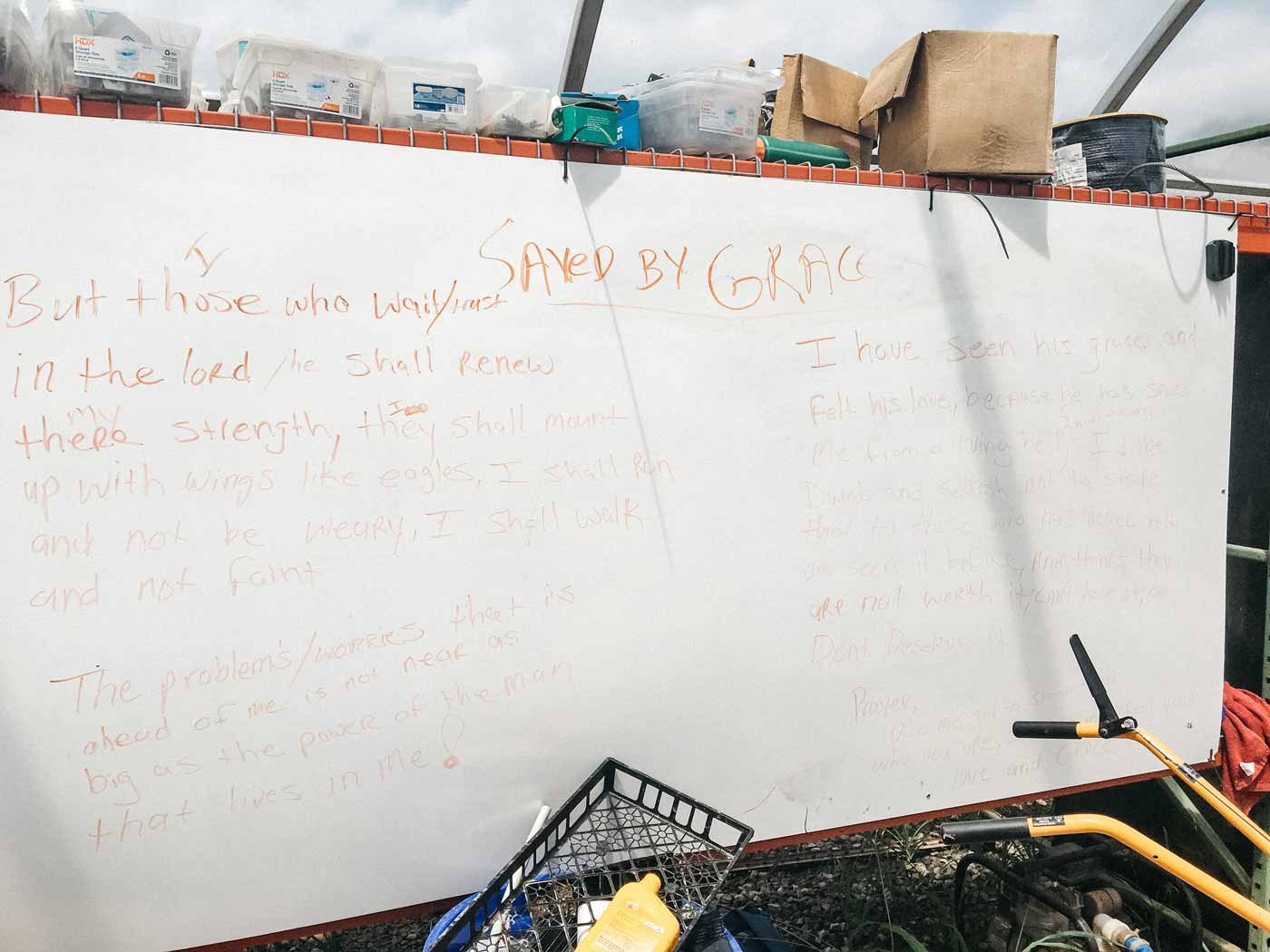 On the whiteboard in the greenhouse shop