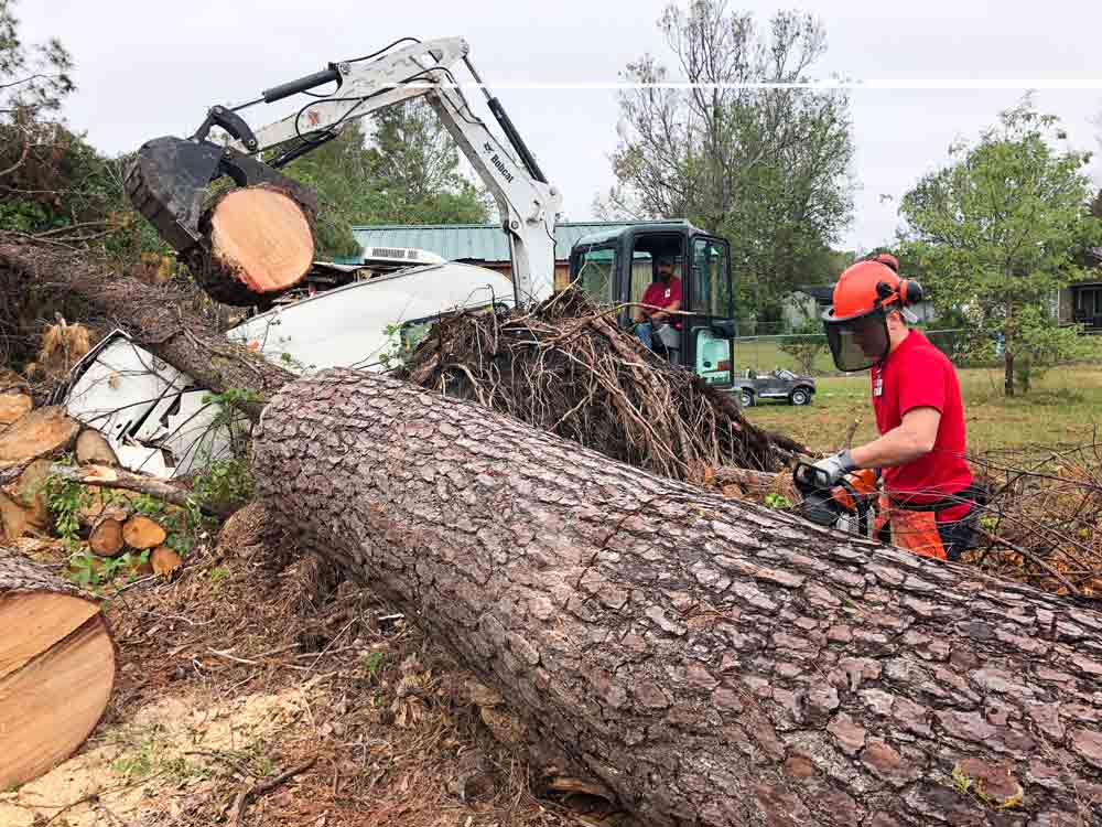 We frequently engaged in tree removal