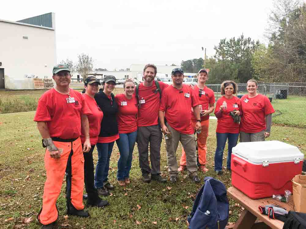The brush and tree removal crew